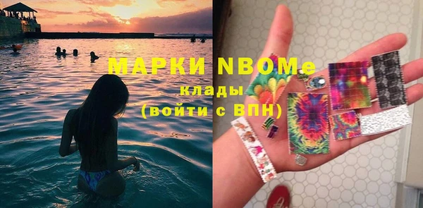 шишки Богородицк