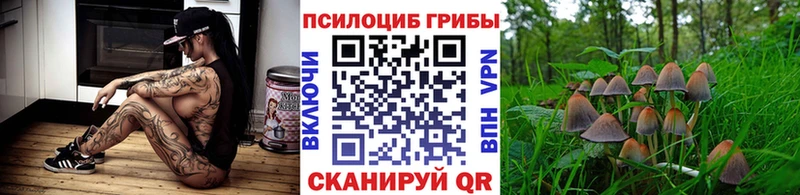 Галлюциногенные грибы мухоморы  даркнет сайт  Джанкой 